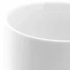 Compotera 250 ml Contour Wolfen