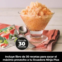 Licuadora profesional Ninja Blender Plus BN701