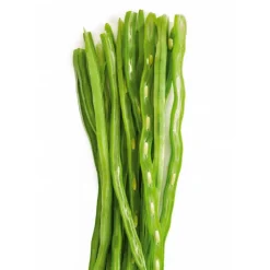 Pelador para Porotos Verdes Ibili
