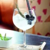 Set de 6 Copas Ballon Gin 700 ml Vina Arcoroc