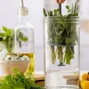 Set para Cultivar Hierbas 1 lt Kilner