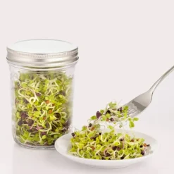 Set para Germinar Semillas 500 ml Kilner