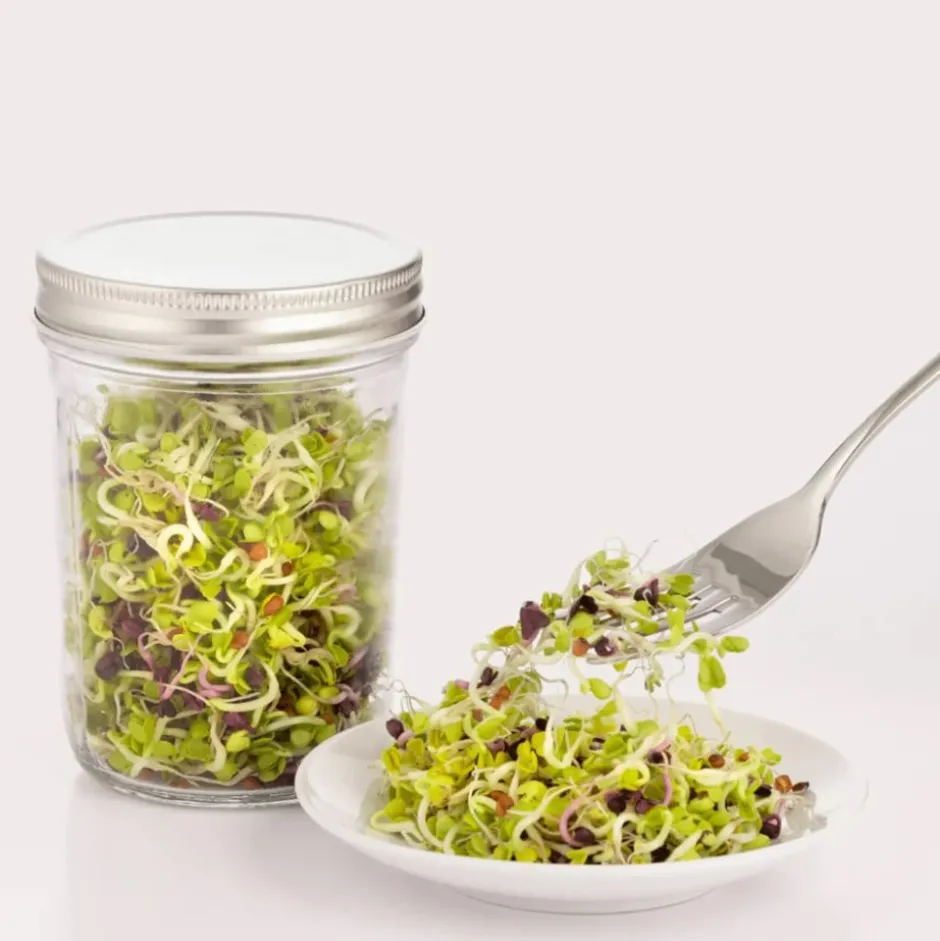 Set para Germinar Semillas 500 ml Kilner