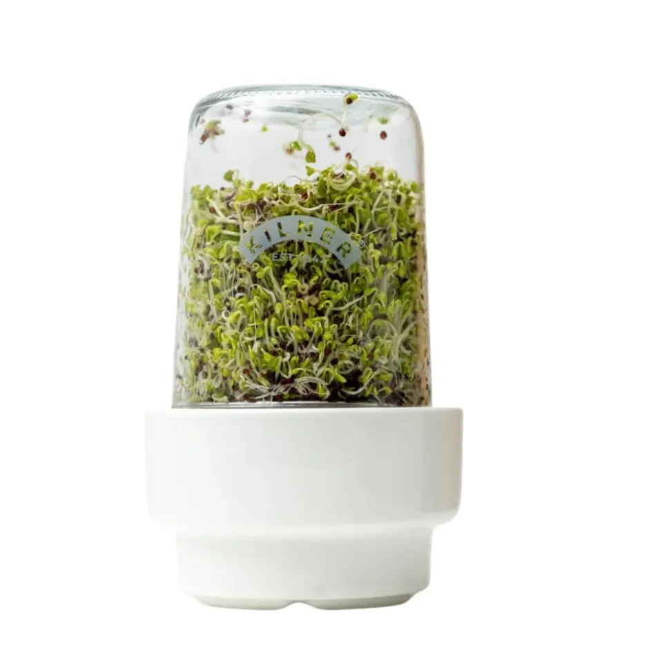 Set para Germinar Semillas 500 ml Kilner