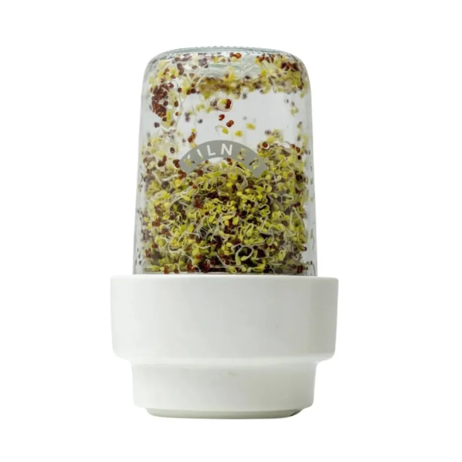 Set para Germinar Semillas 500 ml Kilner
